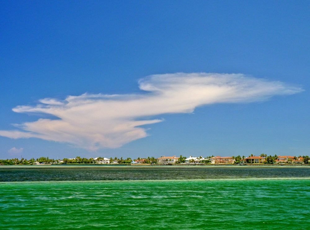 Click to See Next Image